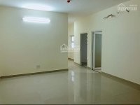 Bán căn hộ Oriental Plaza,  Tân Phú, Hồ Chí Minh, 2 phòng ngủ, có sổ hồng, giá đẹp.