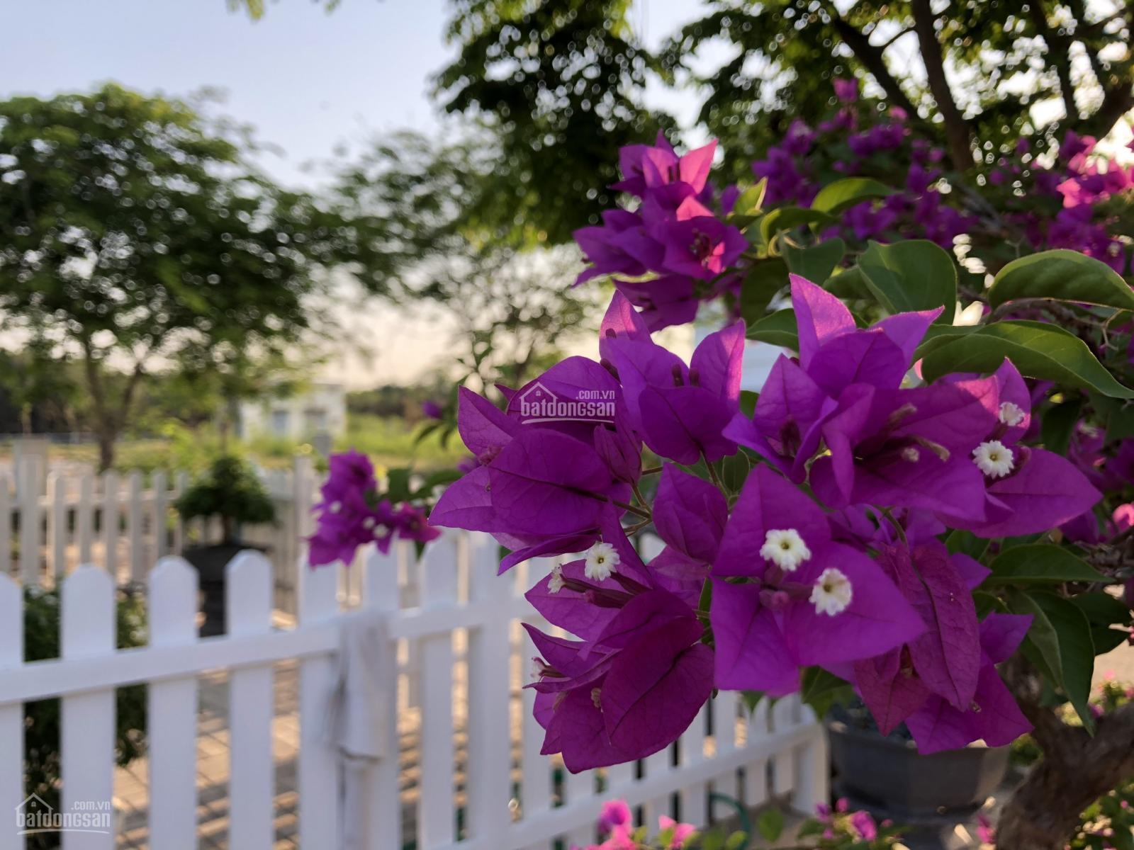 Bán đất Star Village Nhà Bè thuộc lô đất star village chỉ 33tr/m²