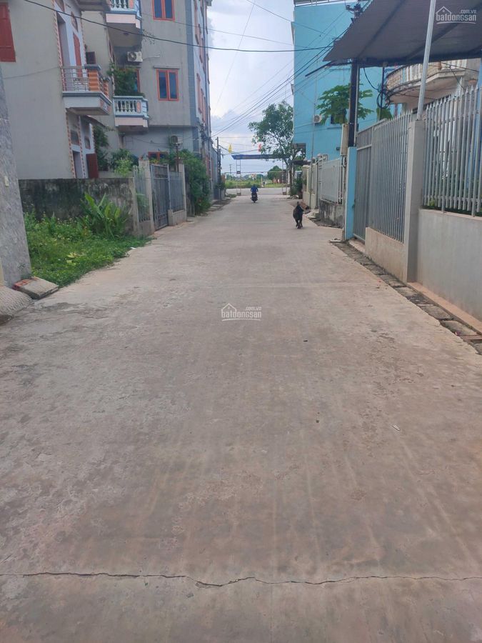 Bán đất nền Bắc Giang Phố Tân Dĩnh, Lạng Giang 130m2, mt 5m giá 1,4 tỷ