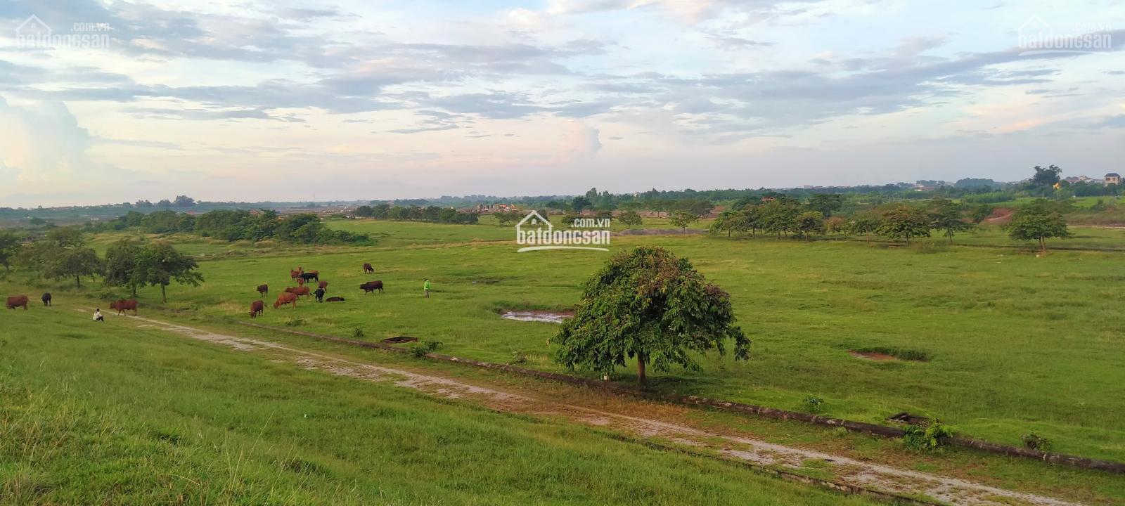 Bán đất phân lô hà nội gần trung tâm thương mại, khu F view hồ, khu H view sông