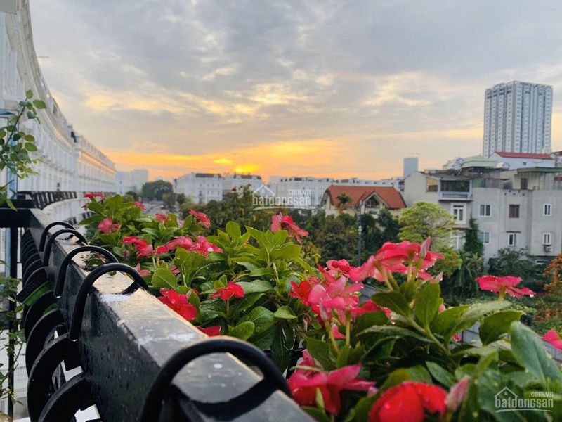 Bán liền kề Louis City Đại Mỗ - Căn Shophouse vị trí siêu đẹp 120m2