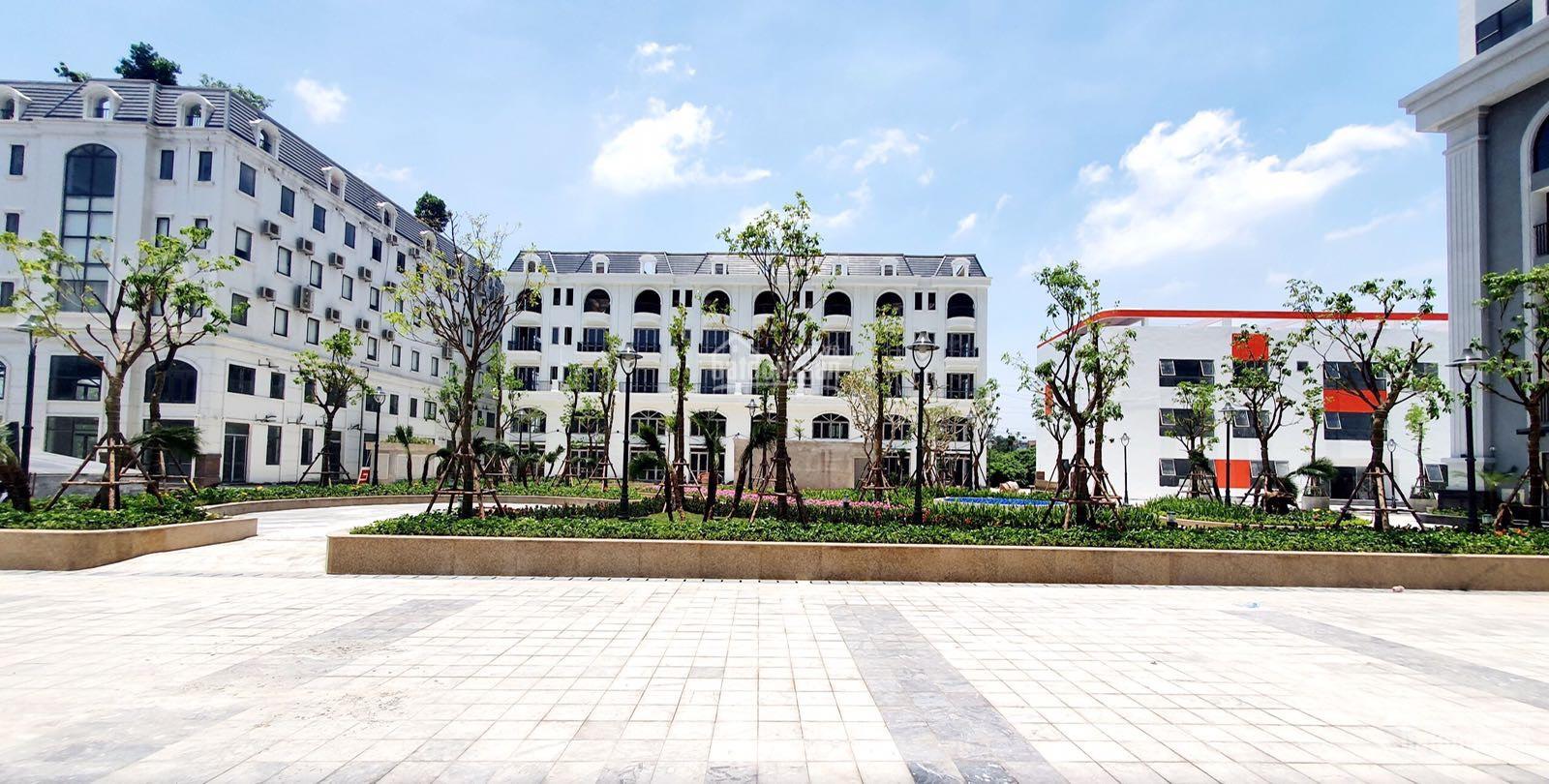 Cho thuê chung cư TSG Lotus Sài Đồng giá đẹp cho khách thiện chí!!!