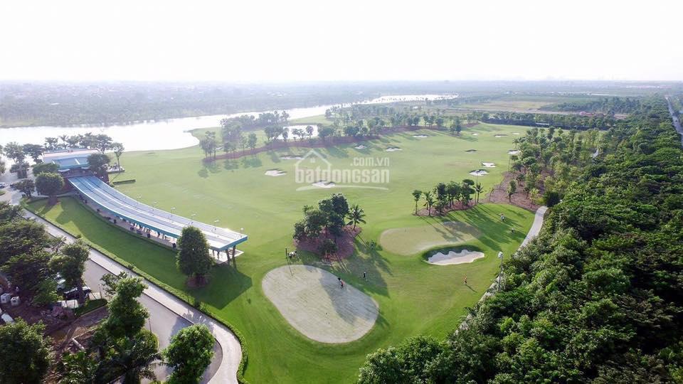 Chủ đầu tư mở bán căn hộ Aqua Bay nhiều siêu phẩm đợi khách vip
