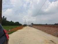 Đất nền giá rẻ Hà Nội, Đất trang trại nhà xưởng từ 2000 - 50000m2 Thái Lai