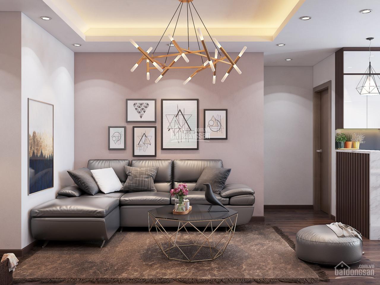 Do kẹt tiền mùa dịch, chính chủ muốn bán chung cư Đất Phương Nam full đồ