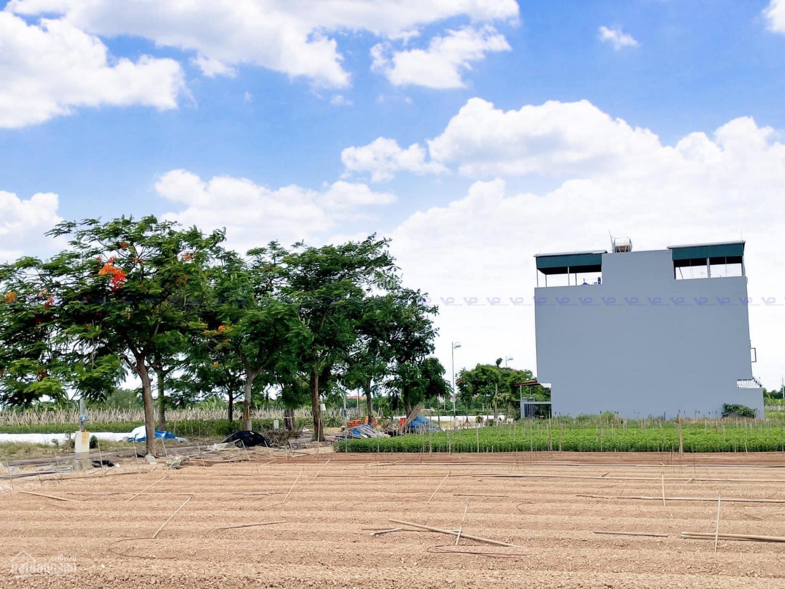 Mở phiên giao dịch bán đất phân lô hà nội ngay tại Vinhomes Mê Linh