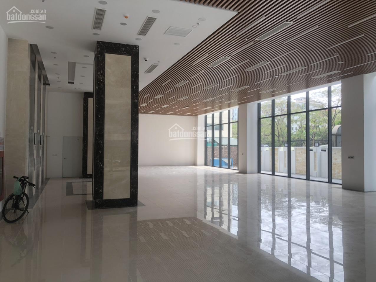 bán nhà mặt phố quận ba đình mặt phố đường Quán Thánh kinh doanh siêu lợi nhuận