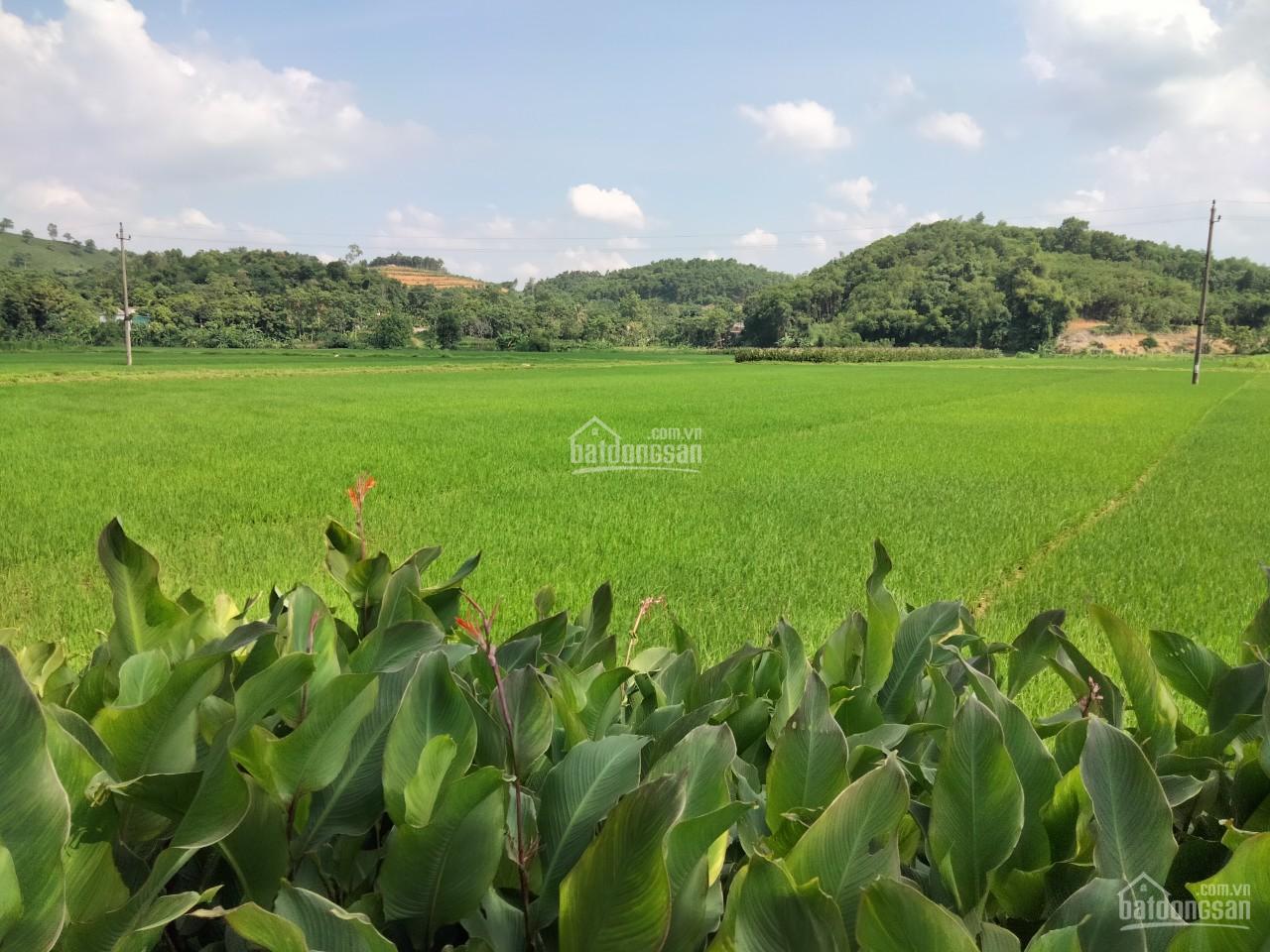 cơ hội mua đất thổ cư hà nội giá rẻ vào đây xem ngay nhé